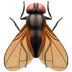 :fly: :fly: