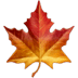 maple_leaf