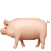 :pig2: