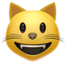 smiley_cat