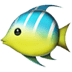 tropical_fish