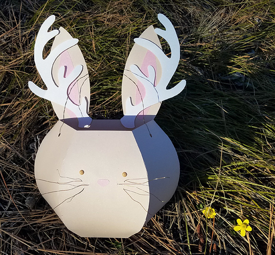 Jackalope01