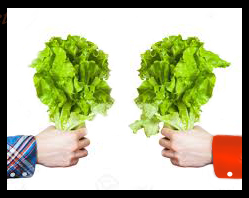 Lettuceswap